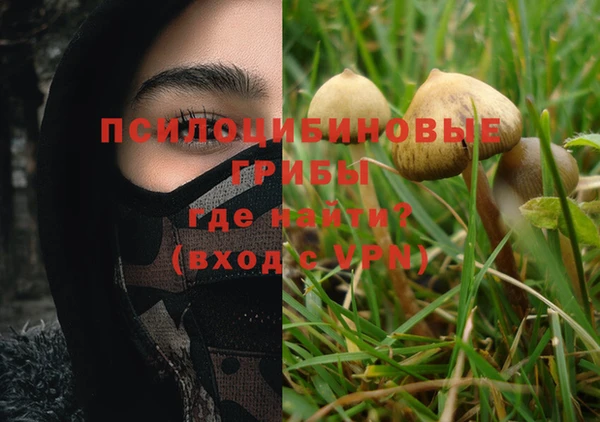 2c-b Белокуриха
