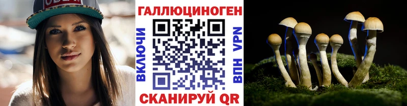 купить наркоту  Туран  Галлюциногенные грибы прущие грибы 